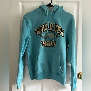 Y2K Hollister Hoodie (small)